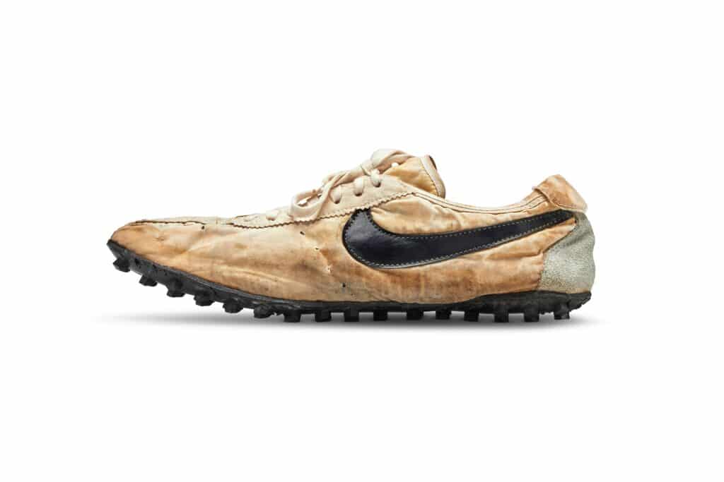 A view of a skin Nike Moon Shoe