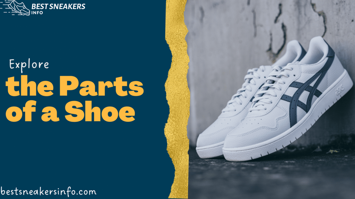 exploring the part of the shoe