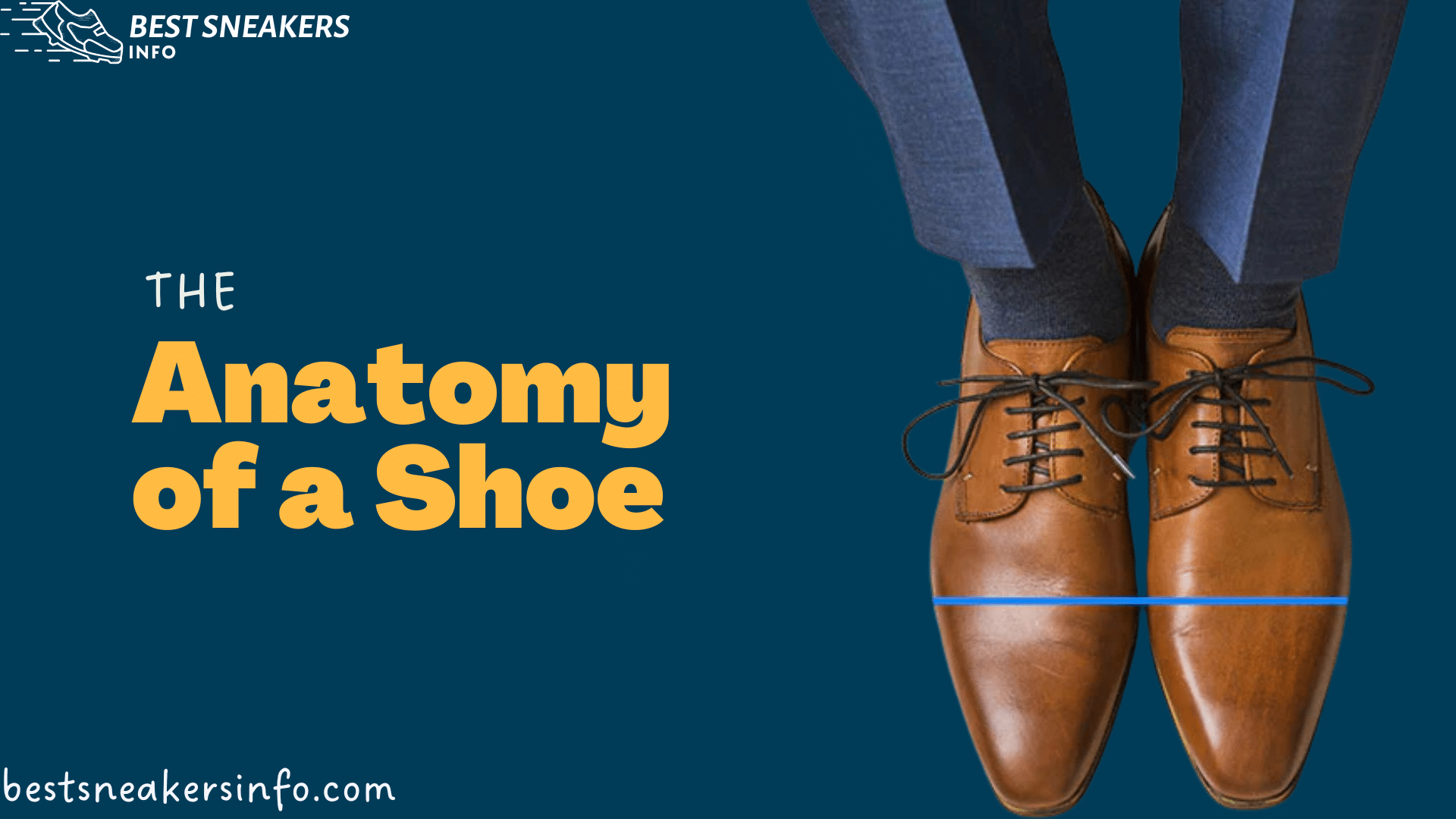 the anatomy of the shoe